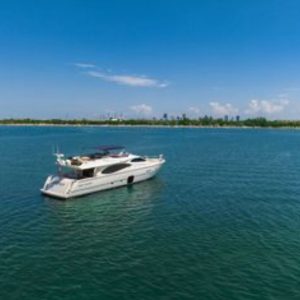 94f1dd8e-db55-487c-a45d-53ed663d69ce