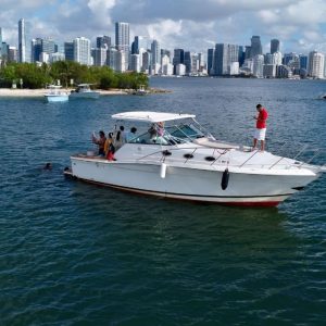 bfd5db41-e997-471d-8901-68649f47f0eb